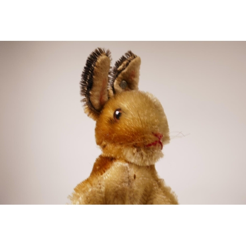 34 - A 1952/53 Steiff begging rabbit, golden mohair, fixed limbs, brown and black glass eyes, red stitchi... 