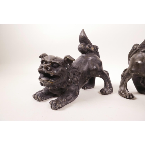 68 - A pair of Chinese bronzed metal fo dogs, 6½