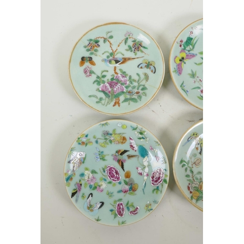 43 - Six early C19th Chinese celadon famille rose porcelain plates, with enamel decoration of butterflies... 