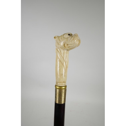 64 - A sectional bone handled walking stick in the form of a dog's head, 39