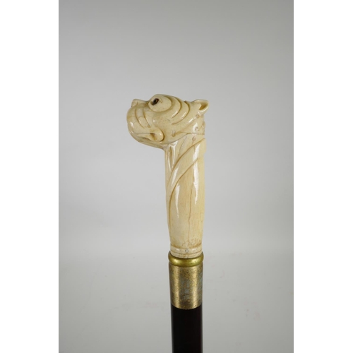 64 - A sectional bone handled walking stick in the form of a dog's head, 39