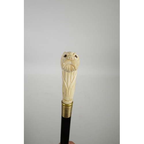 64 - A sectional bone handled walking stick in the form of a dog's head, 39