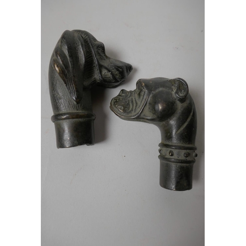 32 - Two bronze walking stick handles cast as dogs' heads, 3