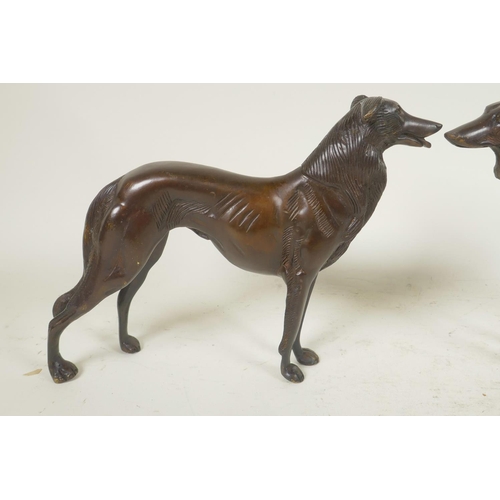 1 - A pair of well cast bronze figures of hounds, 6½