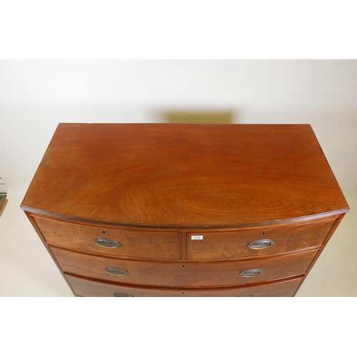 1038 - A Georgian mahogany bow front chest with reeded edge top and two over three drawers, with brass plat... 