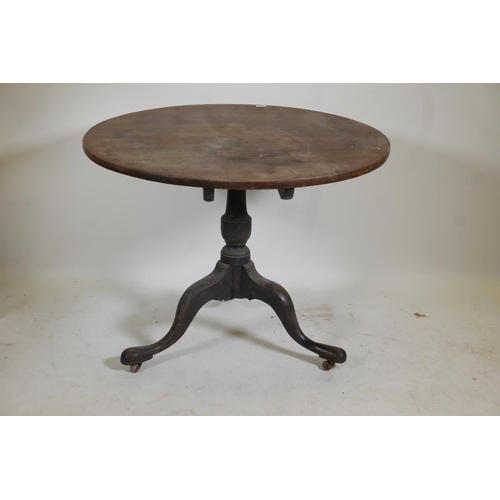 1145 - A Georgian Cuban mahogany circular snap top table on turned cannon barrel column and tripod base, 37... 