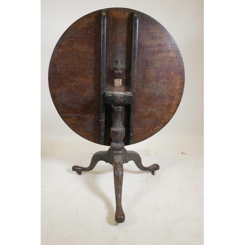 1145 - A Georgian Cuban mahogany circular snap top table on turned cannon barrel column and tripod base, 37... 