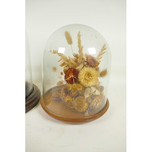 134 - Two glass display domes on wooden bases containing dried flowers and mosses etc, largest 7