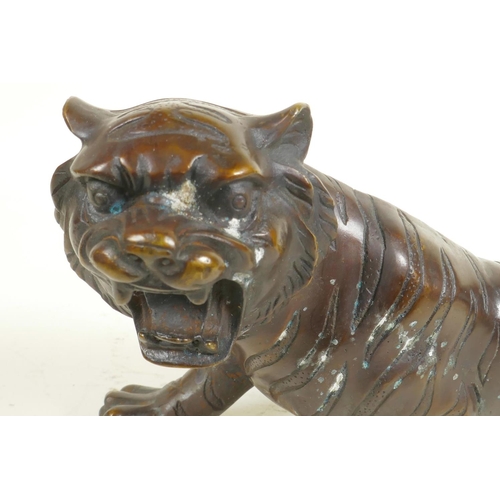 196 - A bronze figure of a roaring tiger, 13