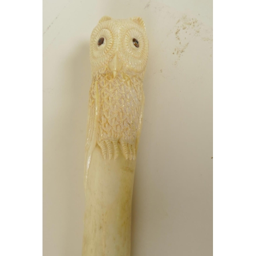 210 - A hardwood walking cane, the bone handle carved as an owl with glass eyes, 36