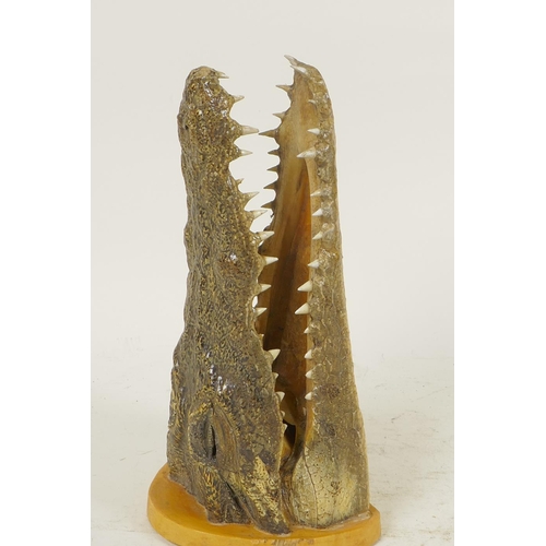 359 - Taxidermy, a mounted crocodile/cayman head, 8