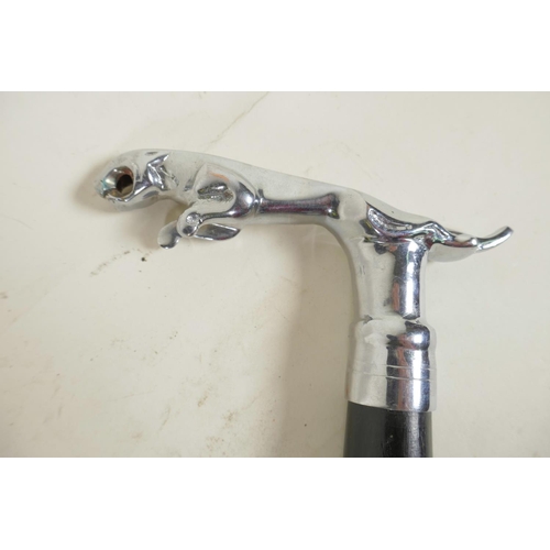 5 - A hardwood walking stick with chrome plated handle in the form of a Jaguar car mascot, 36