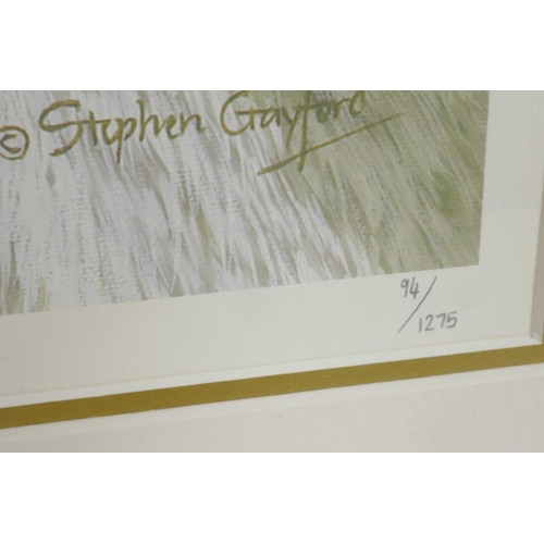 811 - Stephen Gayford, limited edition colour print, 'White Wolf', signed in pencil and numbered 94/1275, ... 