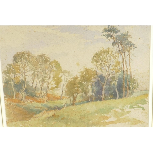 822 - A watercolour of a woodland grove (possibly Australian), 15