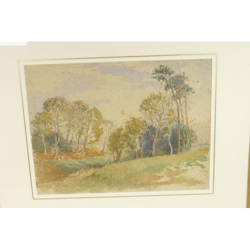 822 - A watercolour of a woodland grove (possibly Australian), 15