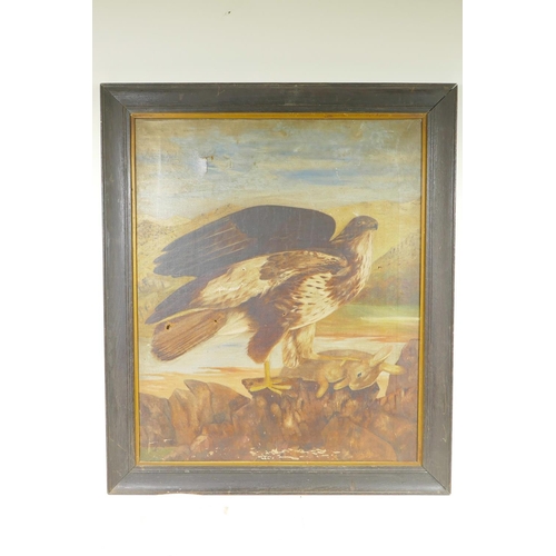 891 - A study of a peregrine falcon and its prey, C19th, oil on canvas, 20