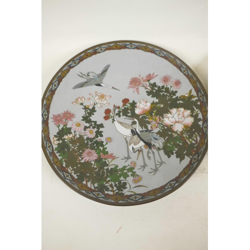 1 - A pair of Japanese Meiji (1868-1912) cloisonne chargers, decorated with cranes and blossom, 12