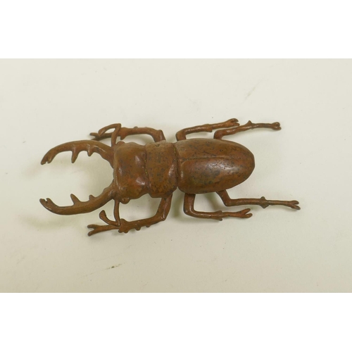 3 - A Japanese jizai style bronze stag beetle, 2½