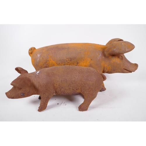 197 - Two cast iron figures of pigs, largest 17