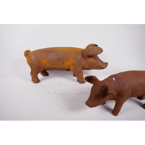 197 - Two cast iron figures of pigs, largest 17