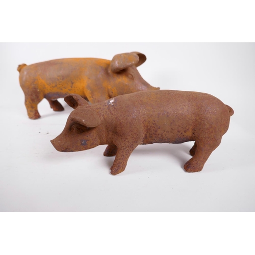 197 - Two cast iron figures of pigs, largest 17