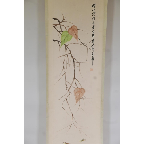 31 - A Chinese watercolour scroll depicting crickets beneath autumnal leaves, 13½