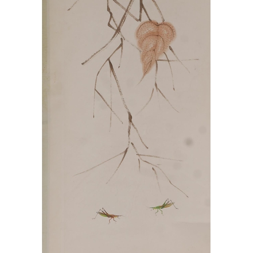 31 - A Chinese watercolour scroll depicting crickets beneath autumnal leaves, 13½