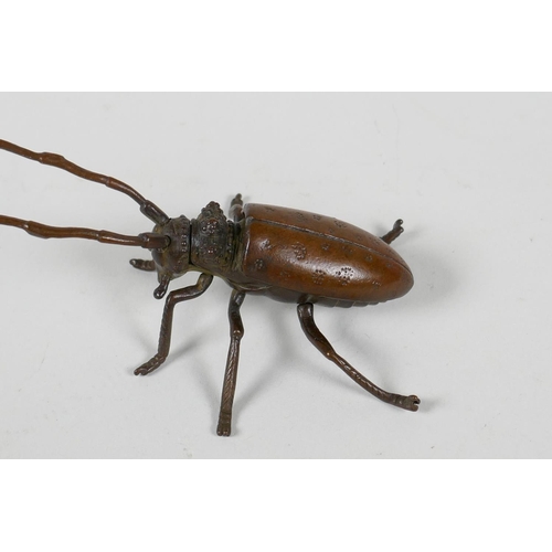 19 - A Japenese Jizai style bronze insect with articulated limbs, antenna & carapace, 5½