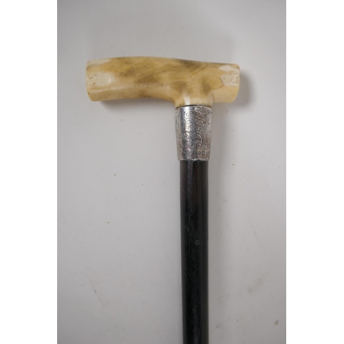 14 - An ebonised walking cane with bone handle and hallmarked silver ferrule, 34½