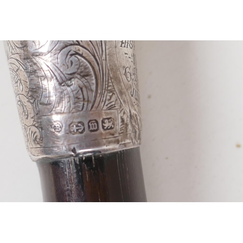 14 - An ebonised walking cane with bone handle and hallmarked silver ferrule, 34½