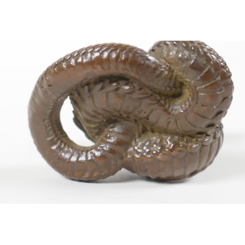 27 - A Japanese bronze Okimono in the form of a cobra, indistinct mark to base, 2