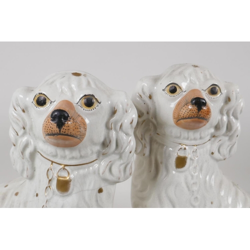 4 - A pair of C19th white & gilt Staffordshire dogs, 12½