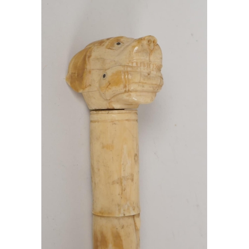 41 - A C19th Chinese carved ivory sectional dandy cane, with dogs head handle, the stem carved with scrol... 