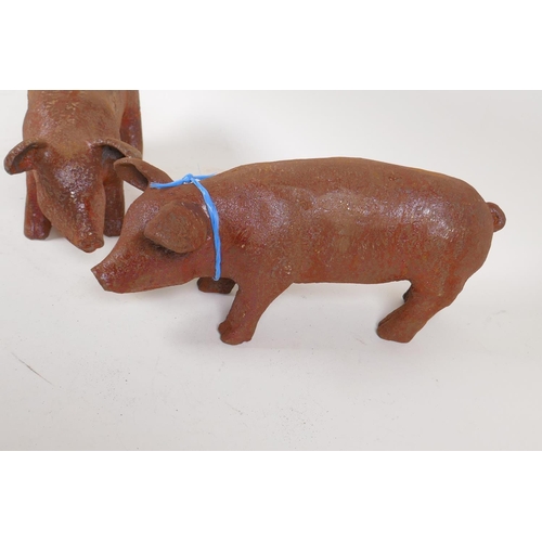 41 - A pair of cast iron garden figures of piglets, 11