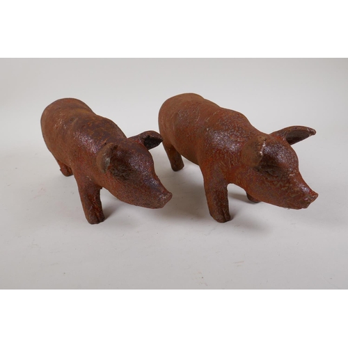 19 - A pair of cast iron garden piglets, 12