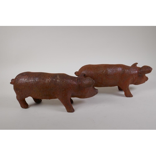 19 - A pair of cast iron garden piglets, 12