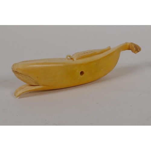 15 - A Japanese Meiji period okimono carved as a banana, 5½