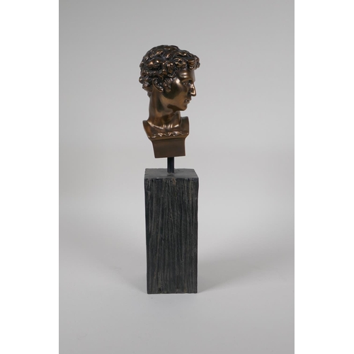 21 - A bronzed composition Greco Roman head bust, possibly David, 13