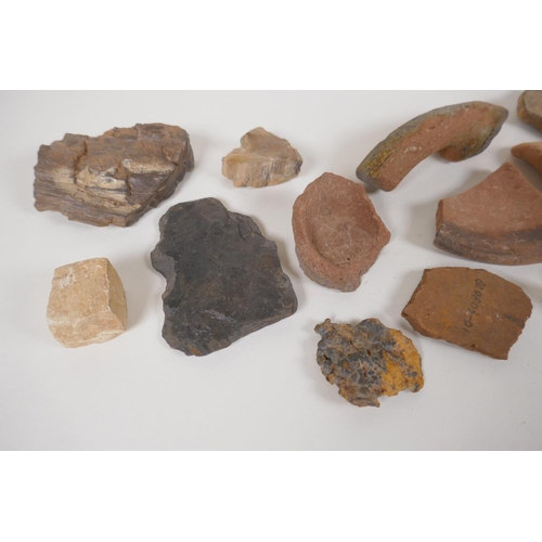 49 - A quantity of Geological samples and archaeological finds