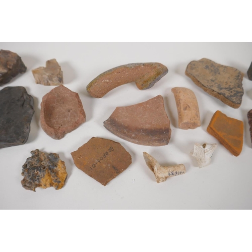 49 - A quantity of Geological samples and archaeological finds