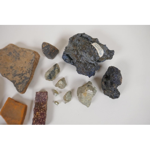 49 - A quantity of Geological samples and archaeological finds