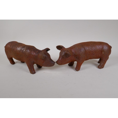 57 - A pair of cast iron garden piglets, 12