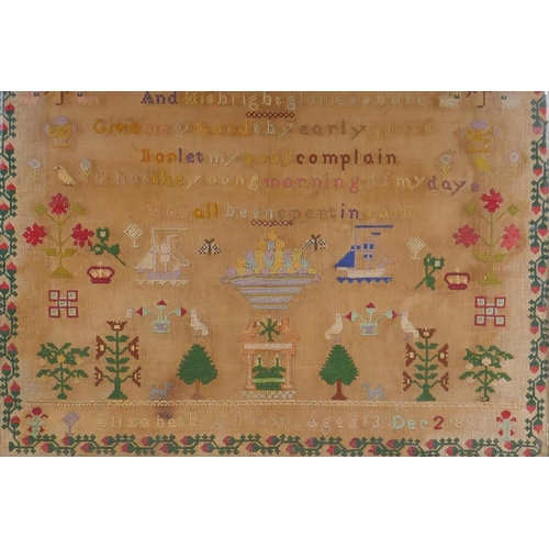 1 - A large C19th sampler by Elizabeth Allinson, aged 13, Dec 2, 1881, framed, frame 75cm x 72cm