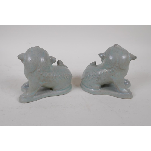 59 - A pair of Chinese porcelain temple lions with ru-ware style glazes, 10cm high, 11cm long