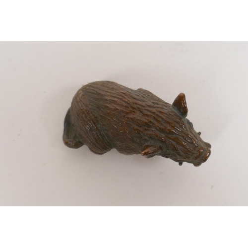 65 - A Japanese bronze okimono boar, 5cm long