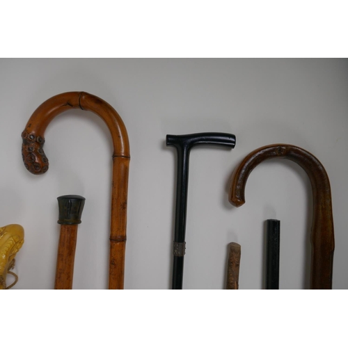 8 - A collection of walking sticks including an ebonised stick with a hallmarked silver cuff, and a horn... 