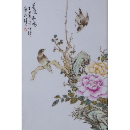 55 - A pair of Chinese famille vert porcelain plaques depicting birds amongst flowers, in hardwood frames... 