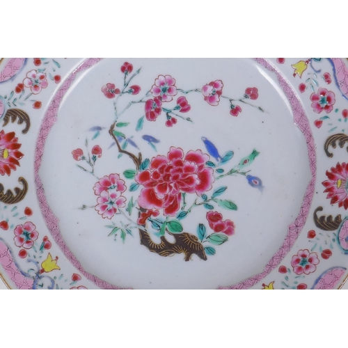 51 - A C19th Chinese famille rose porcelain cabinet plate with floral decoration, 23cm diameter