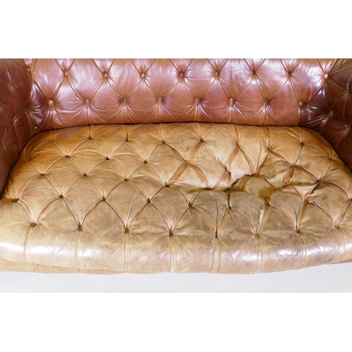 1150 - A leather chesterfield settee, raised on shaped beechwood supports, horse hair stuffed, springs need... 