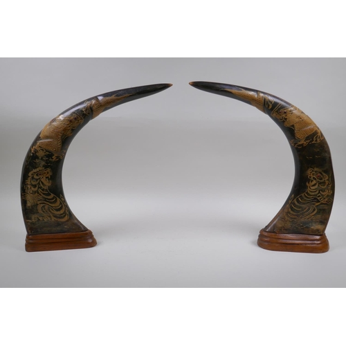 203 - A pair of oriental carved horns decorated with tigers and dragons, 36cm high